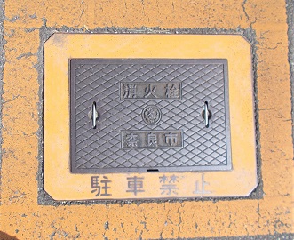 �ޗǎs���ΐ�