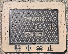 �ޗǎs���ΐ�