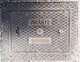 �ޗǎs���ΐ�