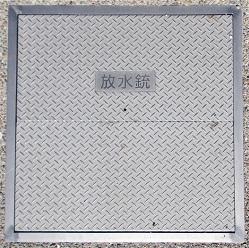 �ޗǎs�����e