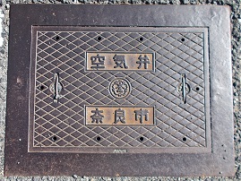 �ޗǎs��C��