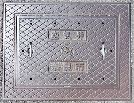 �ޗǎs��C��