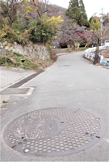 ���{�s�}���z�[��