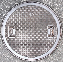 ���{�s�}���z�[��