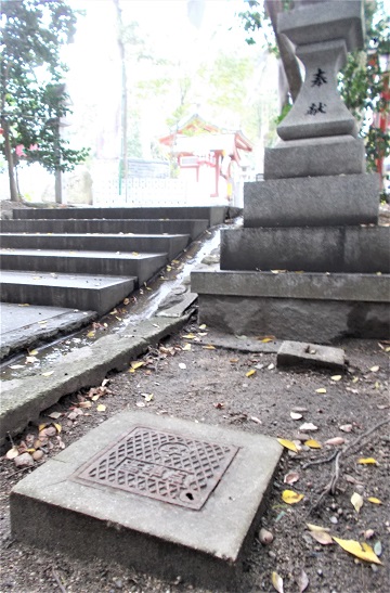 ���{�s�}���z�[��