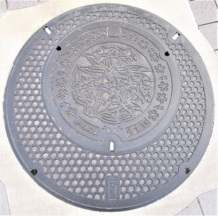 �쐼�s�}���z�[��