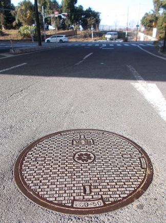 ���{����������}���z�[��