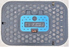 �L���s�ʐ���