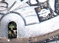 ���s�^�s�c�n���S�}���z�[��