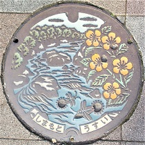 ���{���}���z�[��