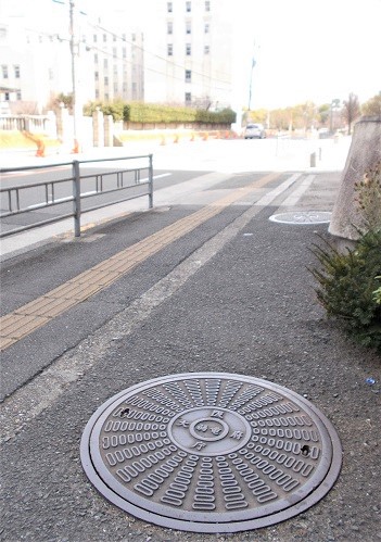 ���{���}���z�[��