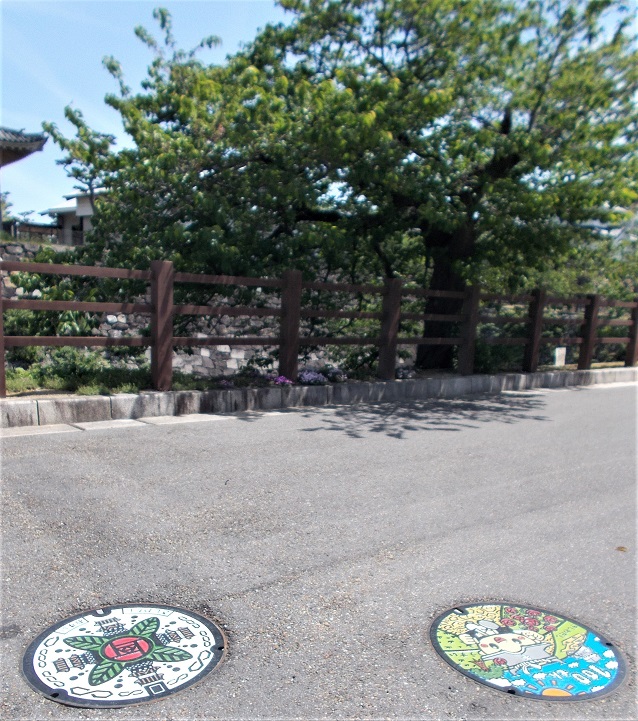 岸和田市マンホール