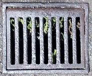 ���s���a�W