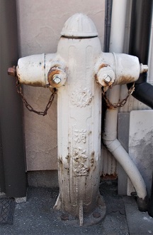 �����s���ΐ�