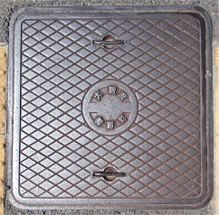 ���{�X�H��