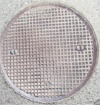 ���{�s�}���z�[��