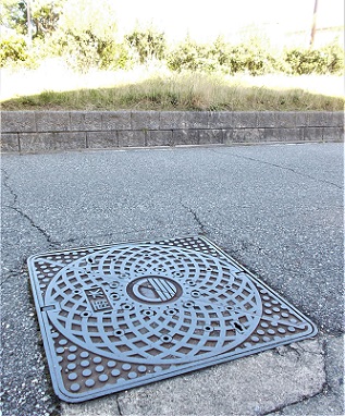 �����s�}���z�[��