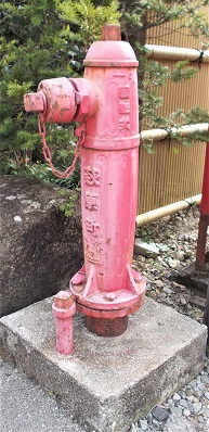 ���������̏��ΐ�