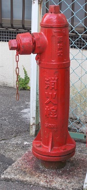 ���������̏��ΐ�