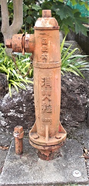 ���������̏��ΐ�