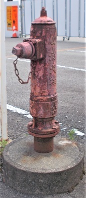 ���������̏��ΐ�