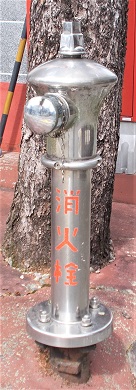 ���������̏��ΐ�