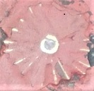 ���s�}���z�[��