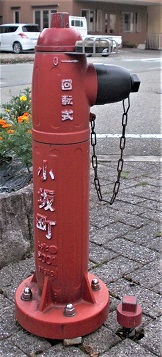 ���⒬���̏��ΐ�