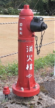 ���⒬���̏��ΐ�