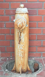 �����s���̏��ΐ�