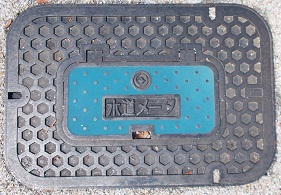 �������ʐ���