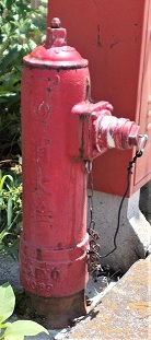 �Ð쒬���̏��ΐ�