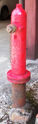 ���������̏��ΐ�