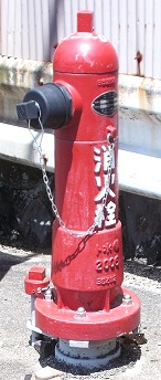 ���������̏��ΐ�