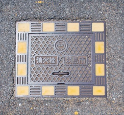 �H���s���ΐ�