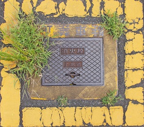 �H���s���ΐ�