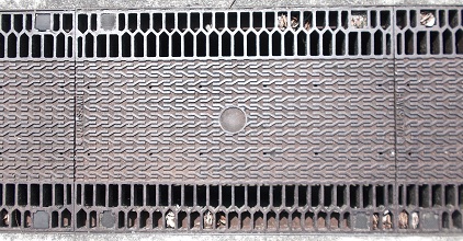 �H���s�ʐ���