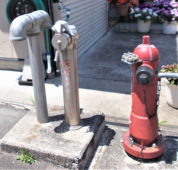 ���{���̐��������̏��ΐ�