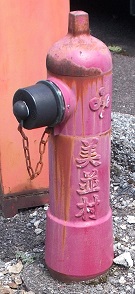 ���������̏��ΐ�