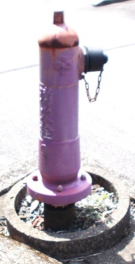 ���������̏��ΐ�