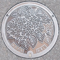 ���Z���Ύs�}���z�[��