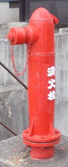 �{�����̏��ΐ�