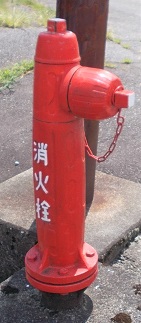 �{�����̏��ΐ�