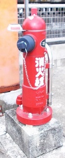 ��j�����̏��ΐ�