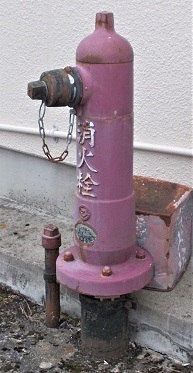 ���������ΐ�