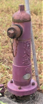 ���������ΐ�