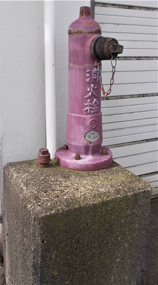 ���������ΐ�