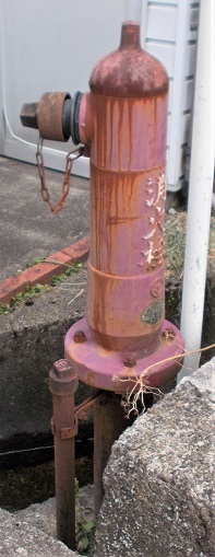 ���������ΐ�