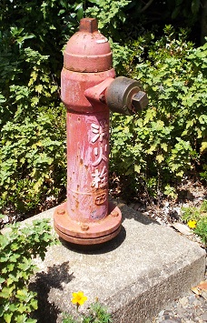 ��a�����ΐ�