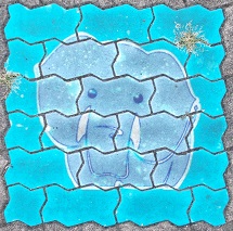 神戸市須磨区石板